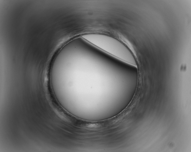 X0000102820059200808181035