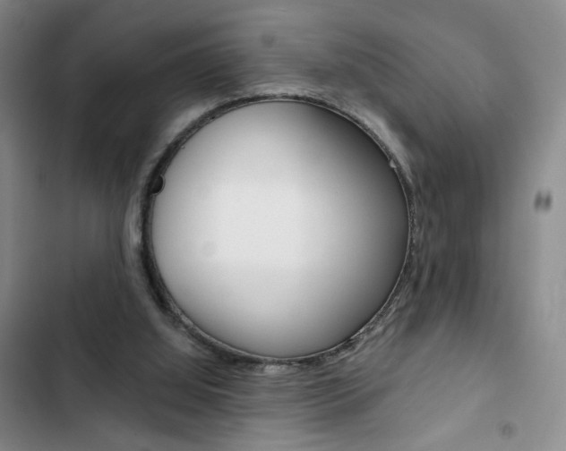 X0000102820060200808181035