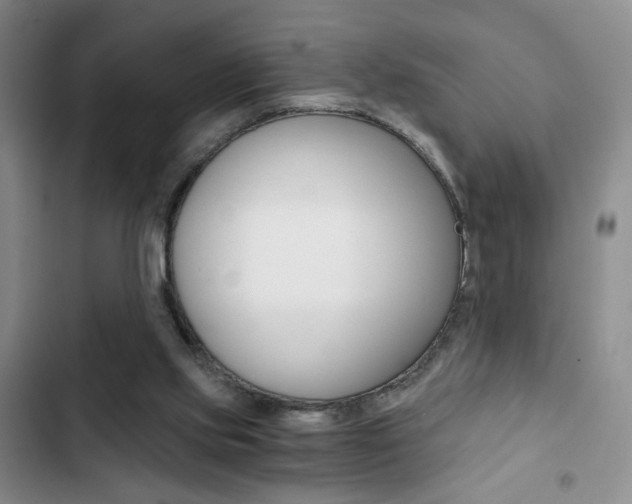 X0000102820061200808181035