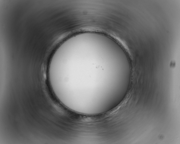 X0000102820062200808181035