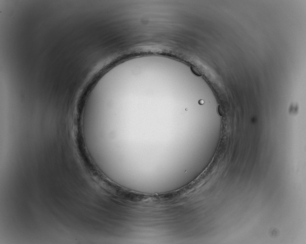 X0000102820064200808181035