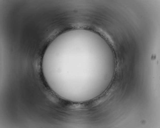 X0000102820065200808181035