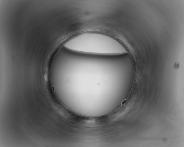 X0000102820068200808181035