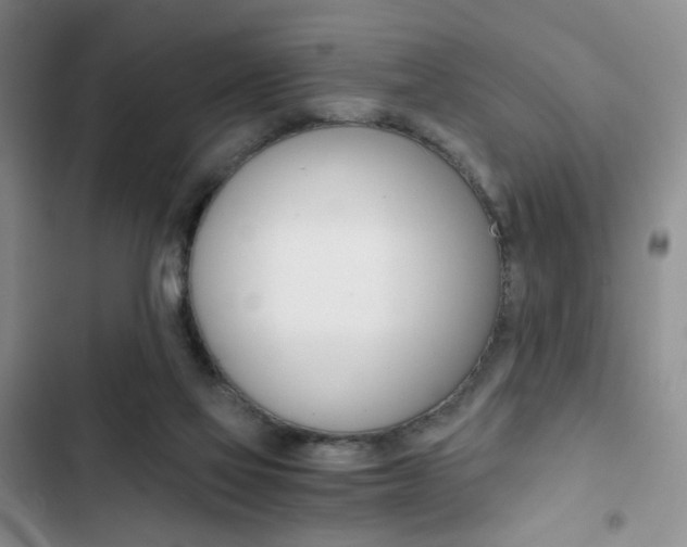 X0000102820069200808181035