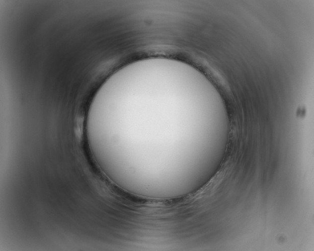 X0000102820070200808181035