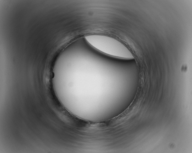 X0000102820072200808181035