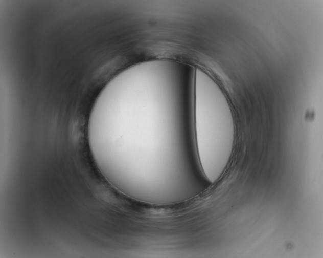 X0000102820073200808181035