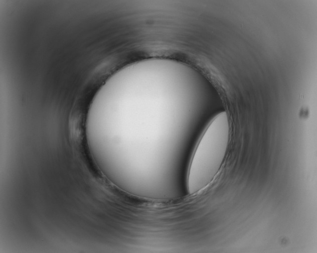 X0000102820074200808181035