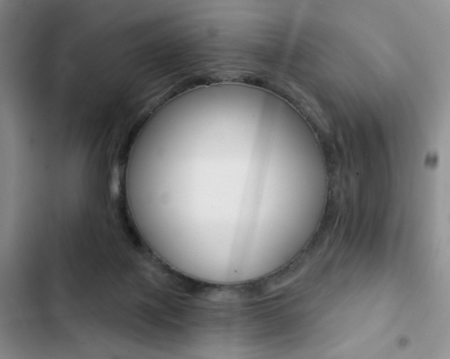 X0000102820075200808181035
