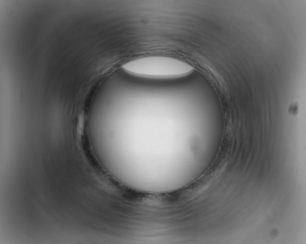 X0000102820076200808181035