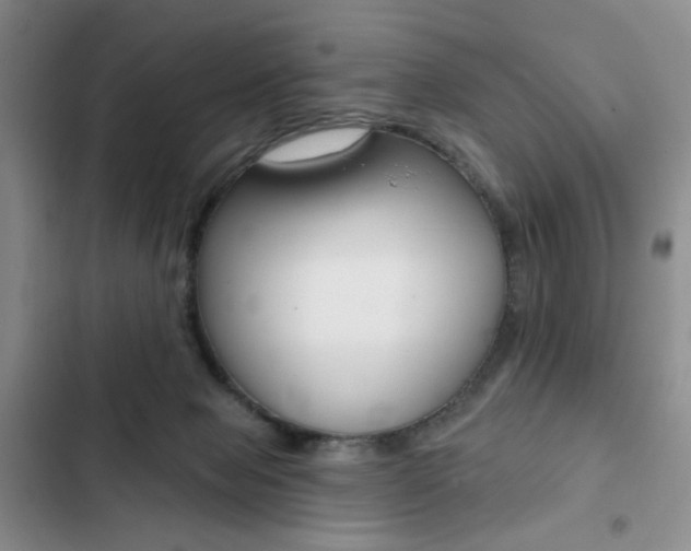X0000102820077200808181035