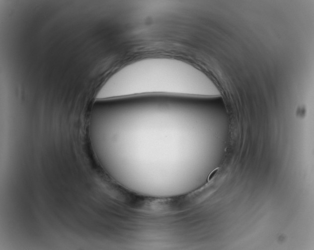 X0000102820078200808181035