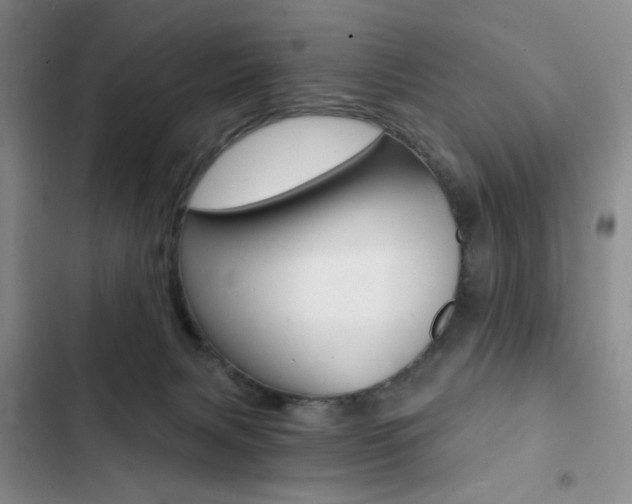 X0000102820079200808181035