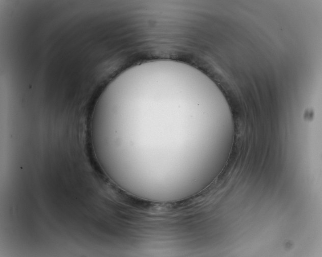X0000102820080200808181035