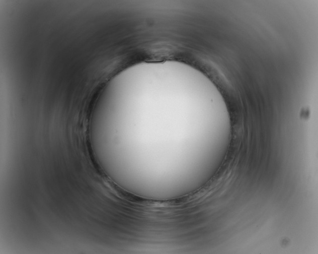 X0000102820081200808181035