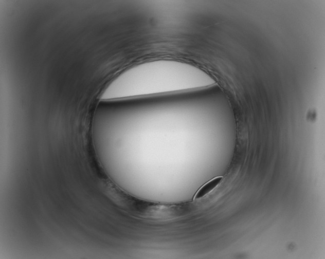 X0000102820082200808181035