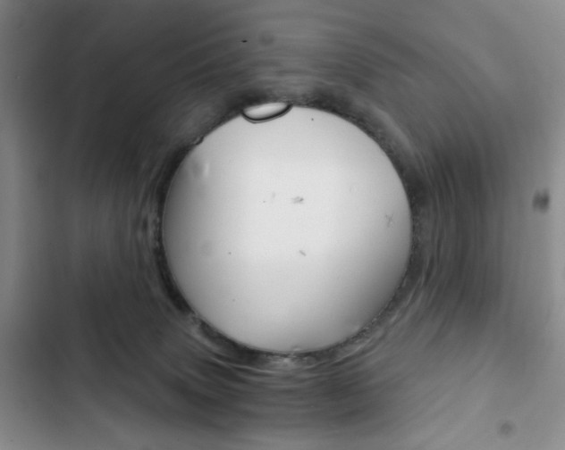 X0000102820083200808181035