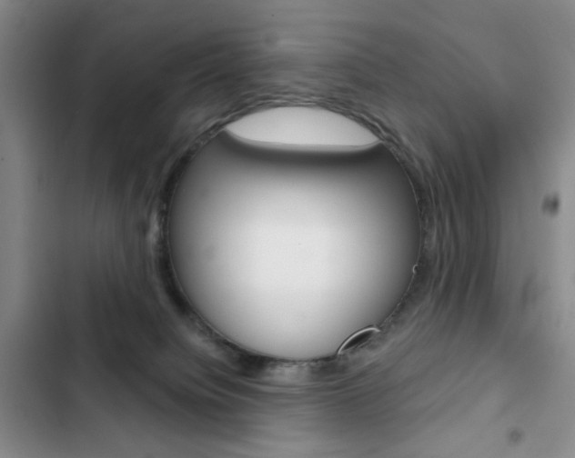 X0000102820084200808181035