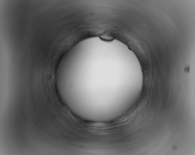 X0000102820085200808181035