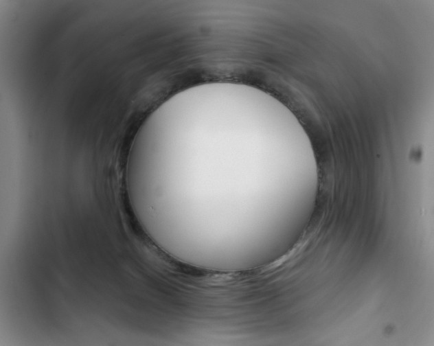 X0000102820086200808181035