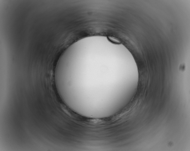 X0000102820087200808181035