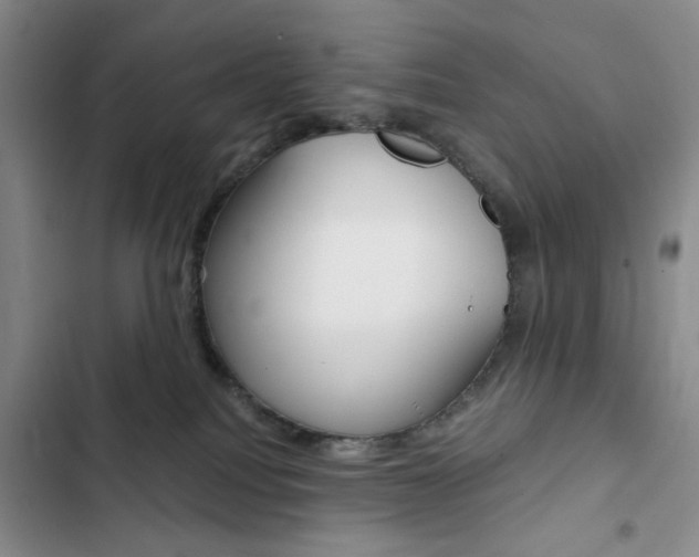 X0000102820088200808181035