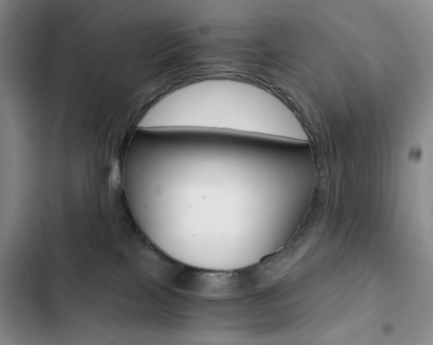 X0000102820089200808181035