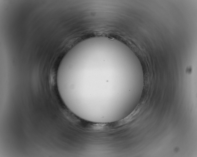 X0000102820090200808181035