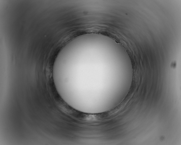 X0000102820091200808181035