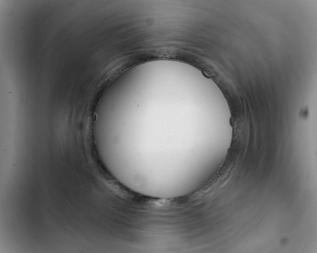 X0000102820092200808181035