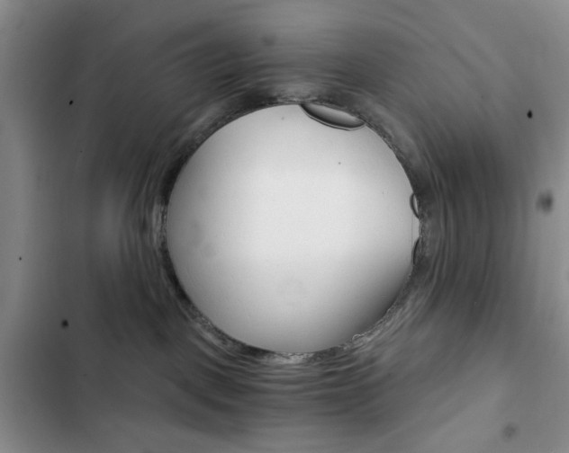 X0000102820093200808181035