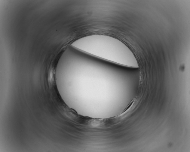 X0000102820094200808181035