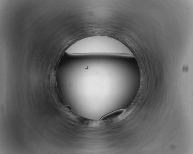 X0000102820096200808181035