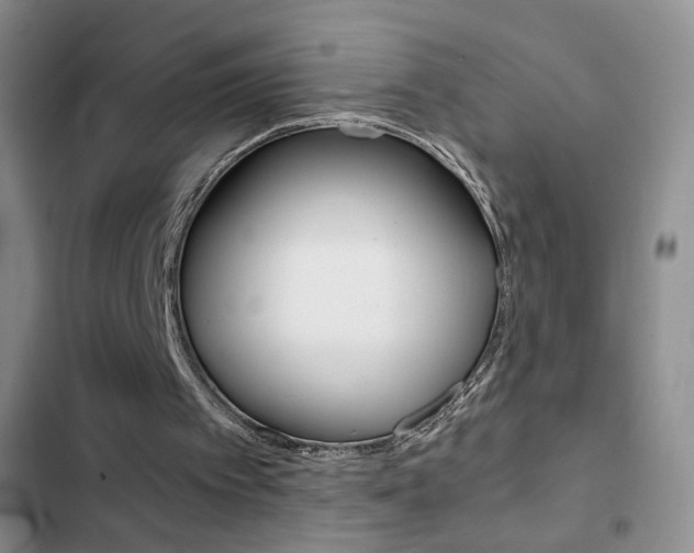 X0000102820097200808181035