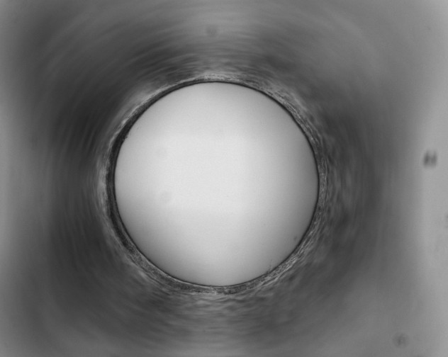 X0000102820098200808181035