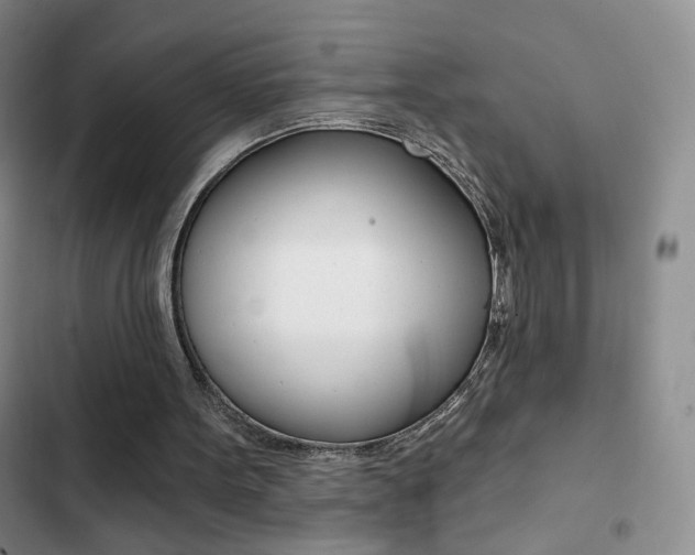 X0000102820099200808181035