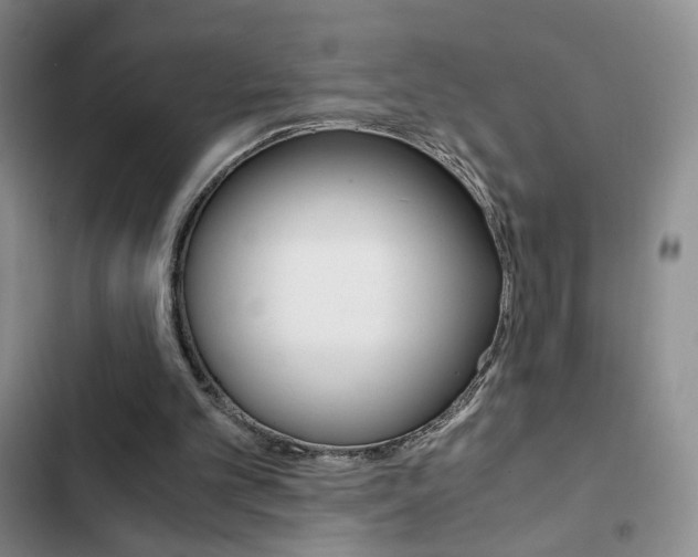 X0000102820101200808181035