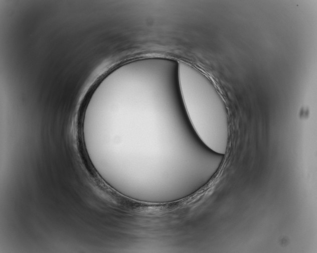 X0000102820102200808181035