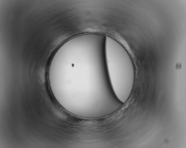 X0000102820106200808181035