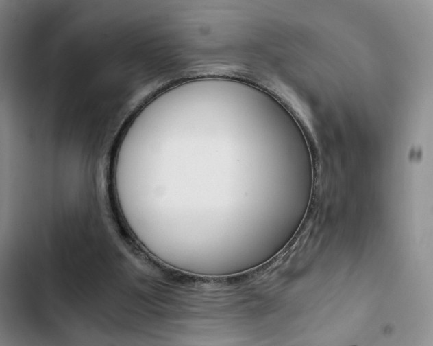 X0000102820107200808181035