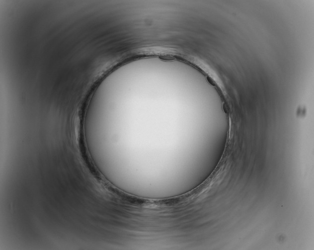 X0000102820109200808181035