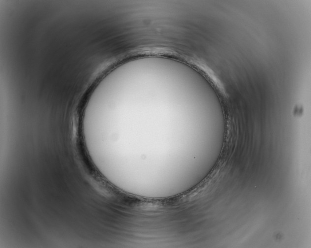 X0000102820110200808181035