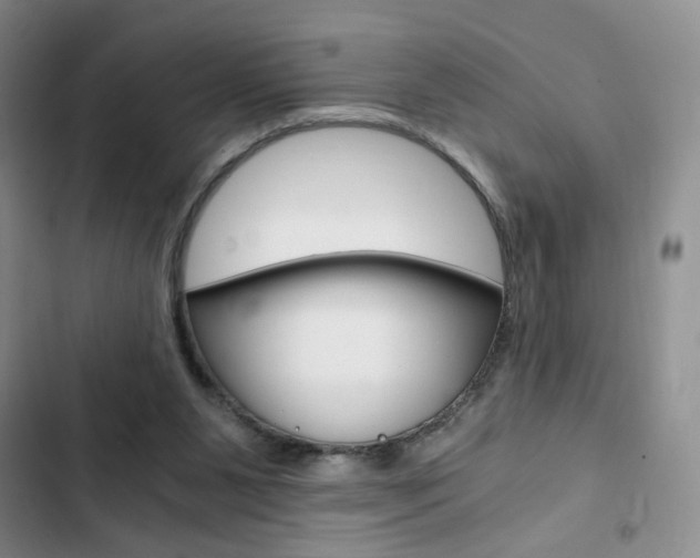 X0000102820111200808181035