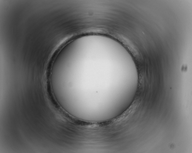 X0000102820112200808181035
