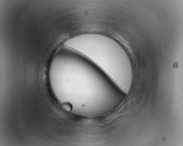 X0000102820115200808181034