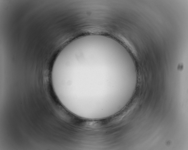 X0000102820117200808181034