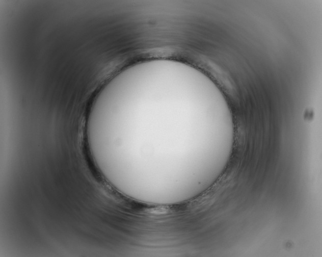 X0000102820118200808181034