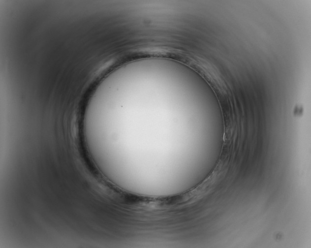 X0000102820120200808181034