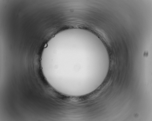 X0000102820121200808181034