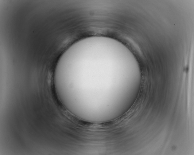 X0000102820123200808181034